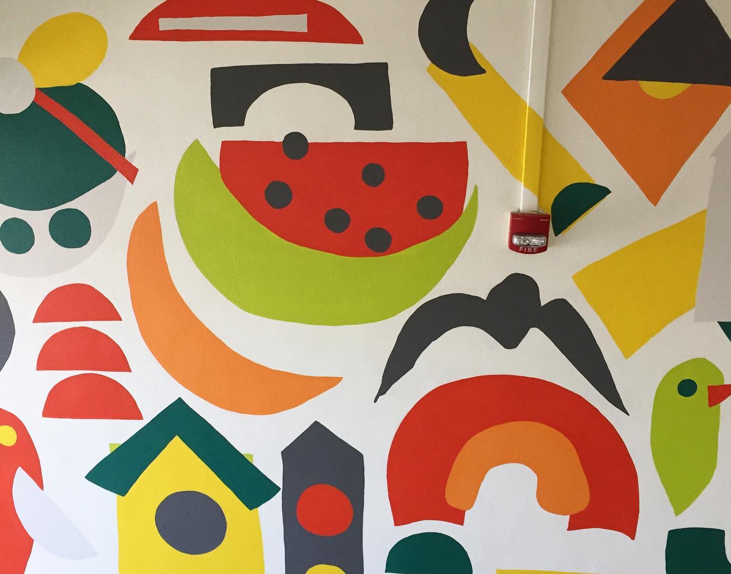 82410671_10157480223959821_4776993279516344320_o