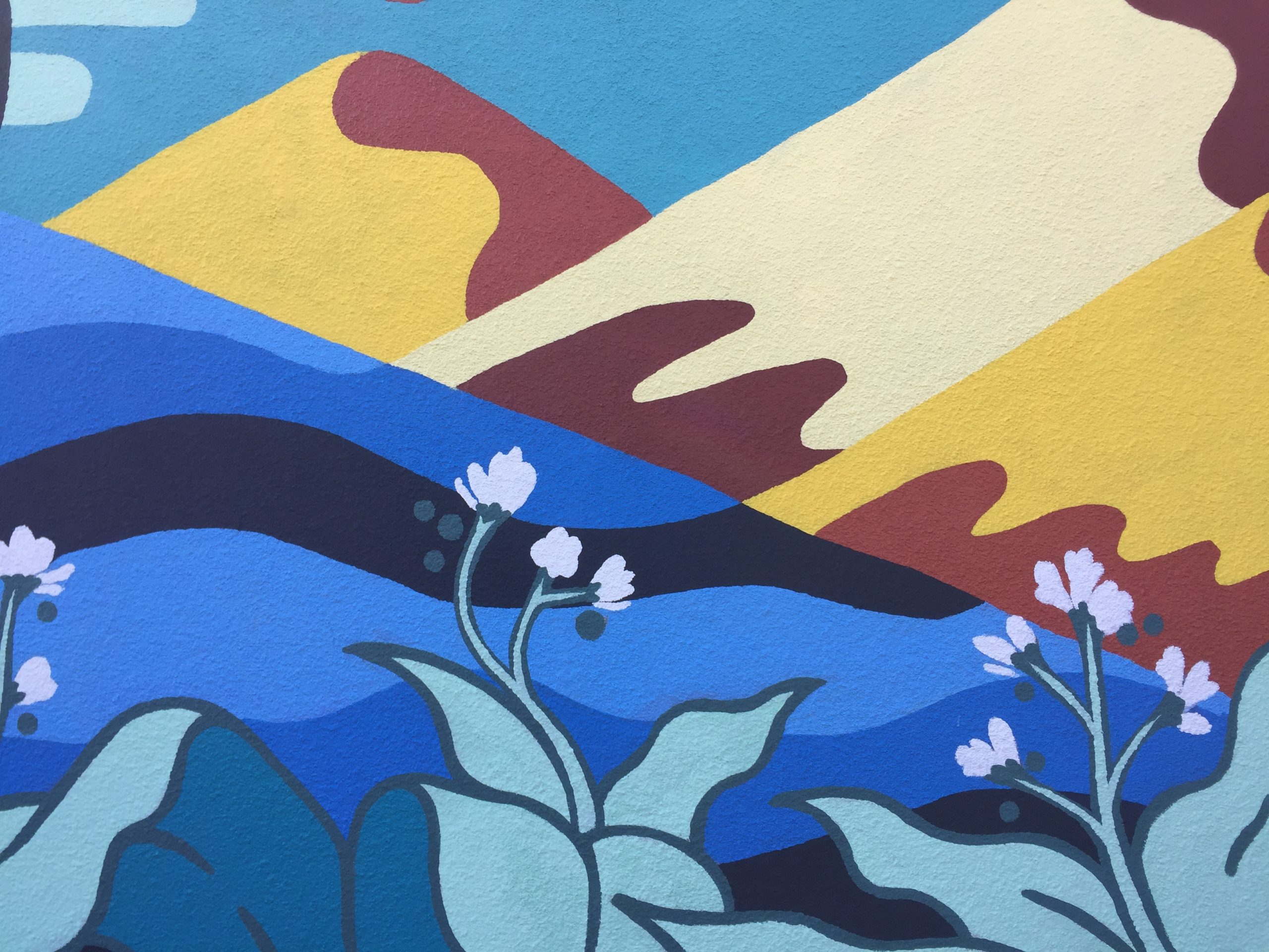 Photo Jun 18, 4 55 36 PM