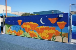 Coastal_wall_angled1