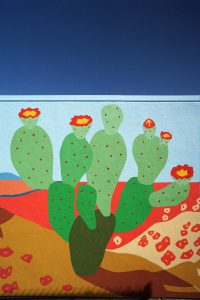 Desert_wall_closeup3