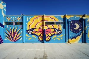 4-Agave_Butterfly_Moon