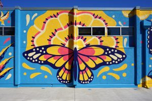 5-Butterfly_Marigold