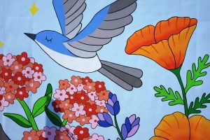 10_Gnat_catcher_detail