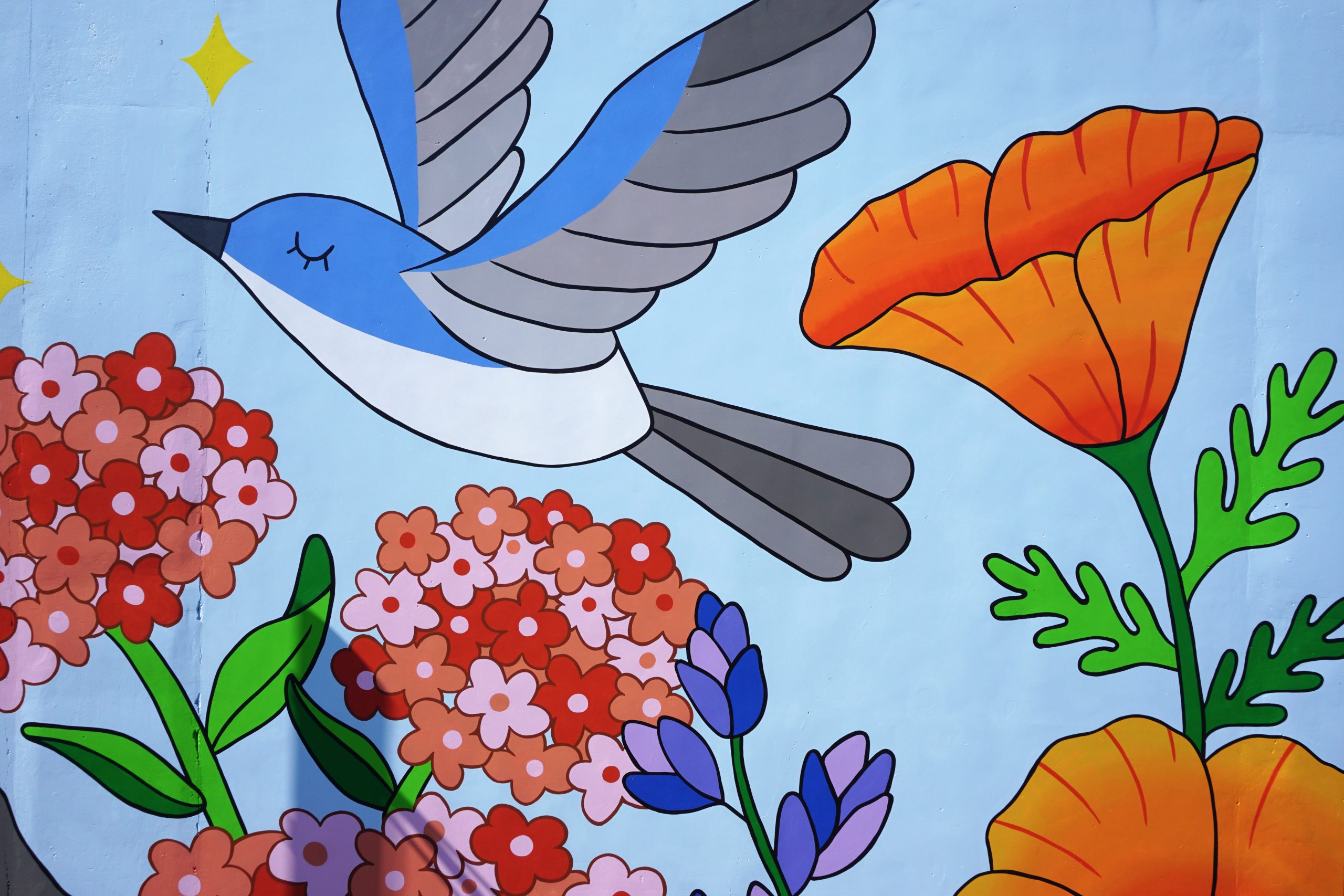 10_Gnat_catcher_detail