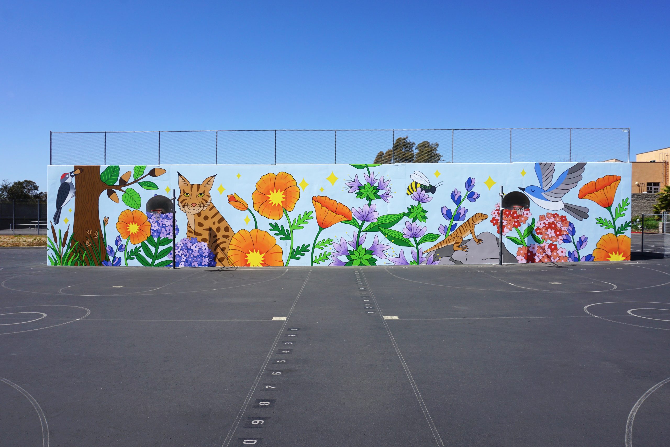 Mesa Verde Middle School // Rancho Peñasquitos