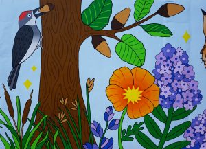 7_Acorn_Woodpecker_detail