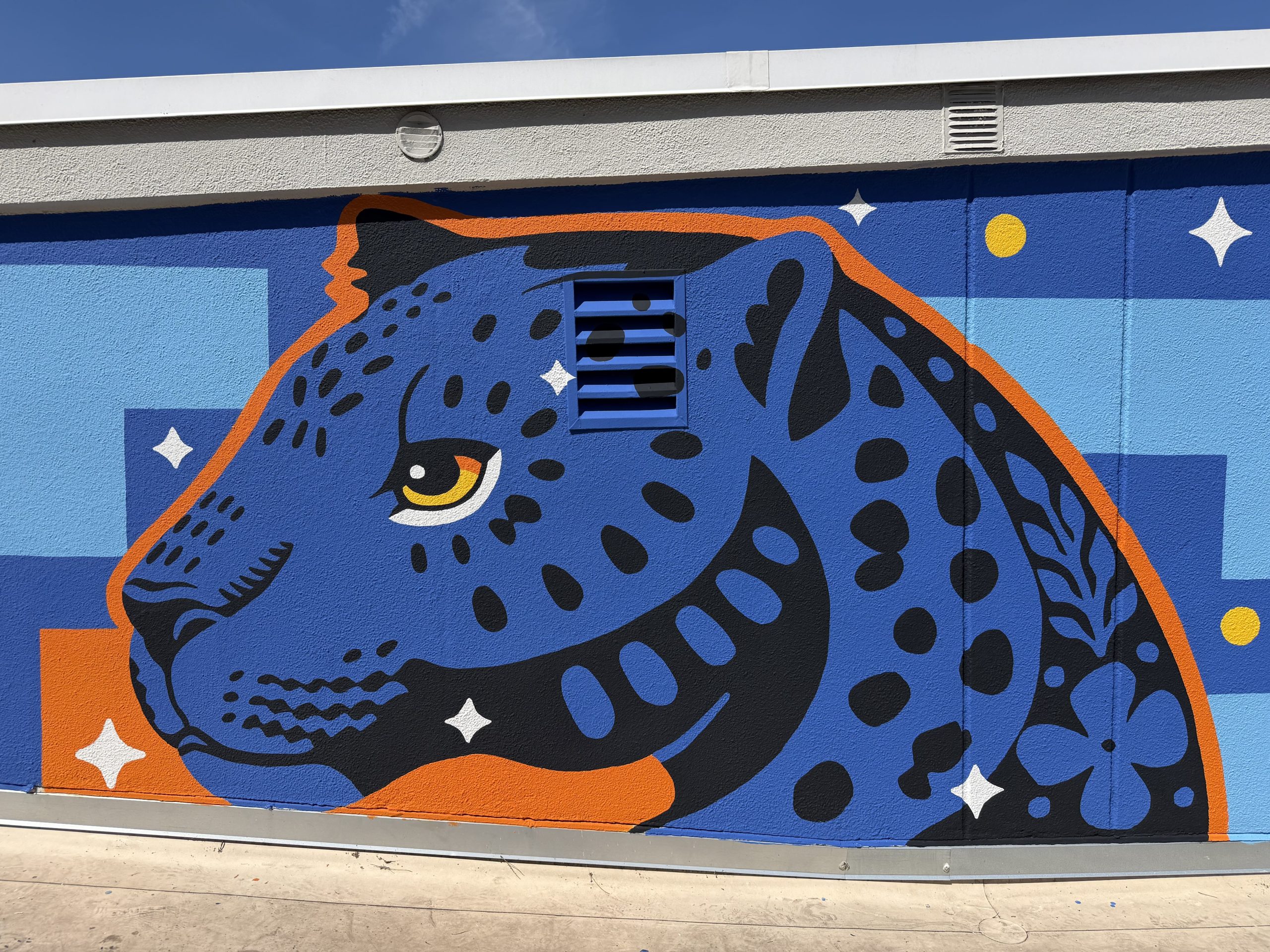 8_panther_roof