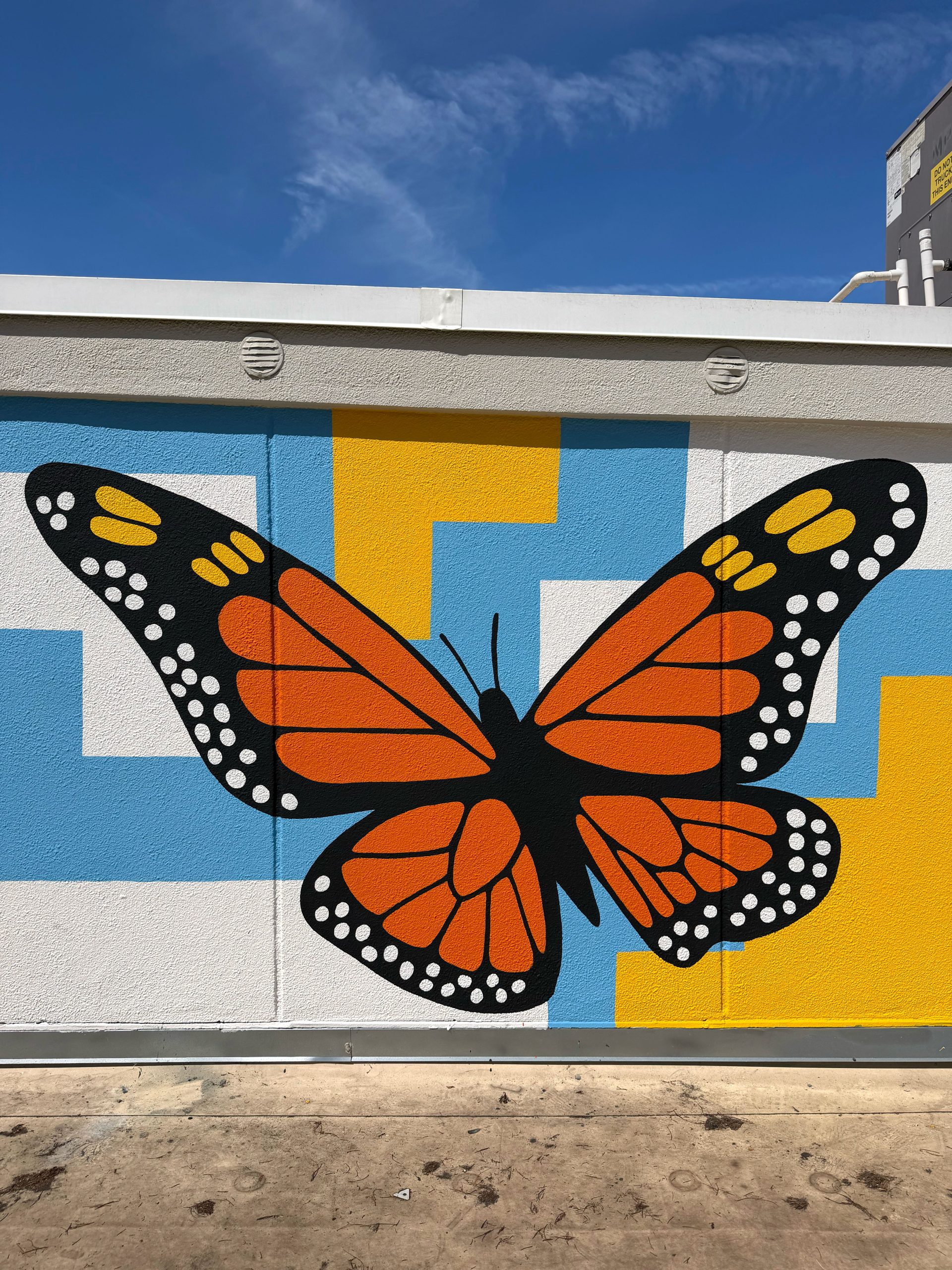9_butterfly1