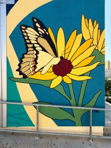 6_butterfly